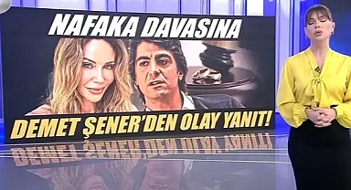 İbrahim Kutluay 59 bin liralık nafakanın kaldırılmasını istedi! Kira gelirini açıklayan Demet Şener'den bomba yanıt