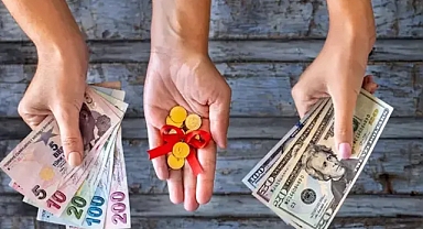 Ne altın ne dolar hiçbiri böyle prim yapmadı! İşte bu yılın en çok kazandıranı