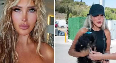 Seren Serengil hayvan hakları için siyasete gireceğini duyurdu